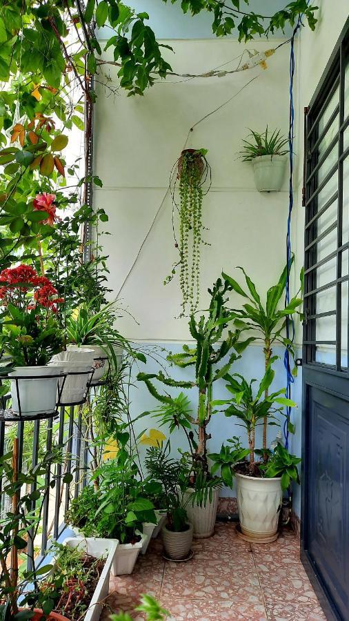 Sena home 2nd*near Danang Han river*Dragon bridge Exteriör bild
